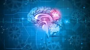 Beyin, Omurga ve Sinir Cerrahisi 