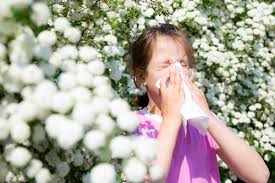 Çocuk Sağlığı , Alerji ve Gelişimi